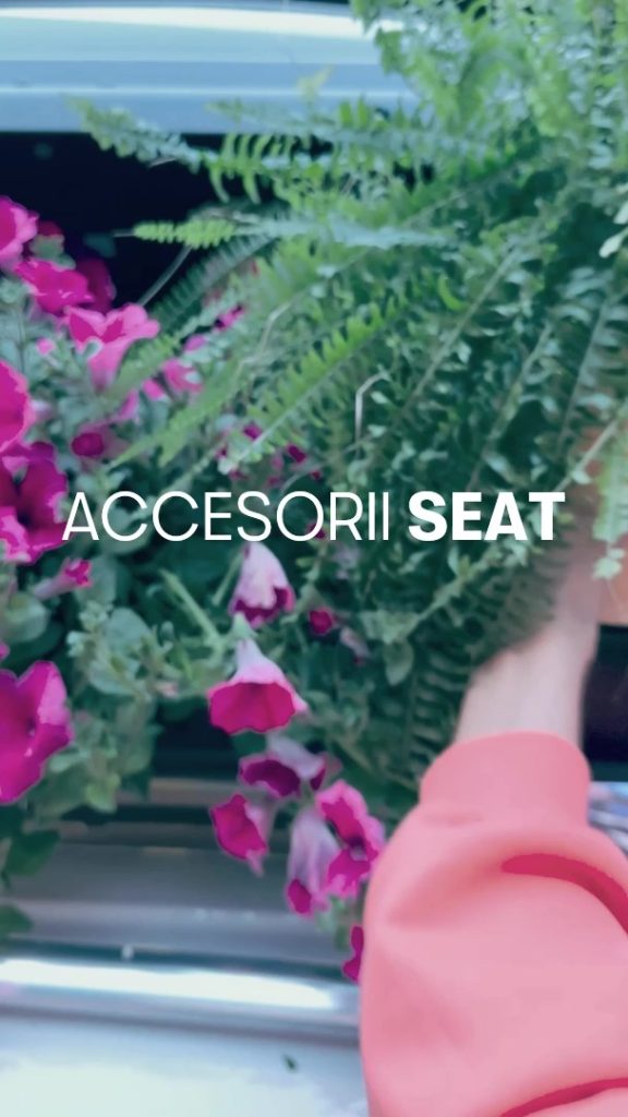 Cutie bagaje Seat