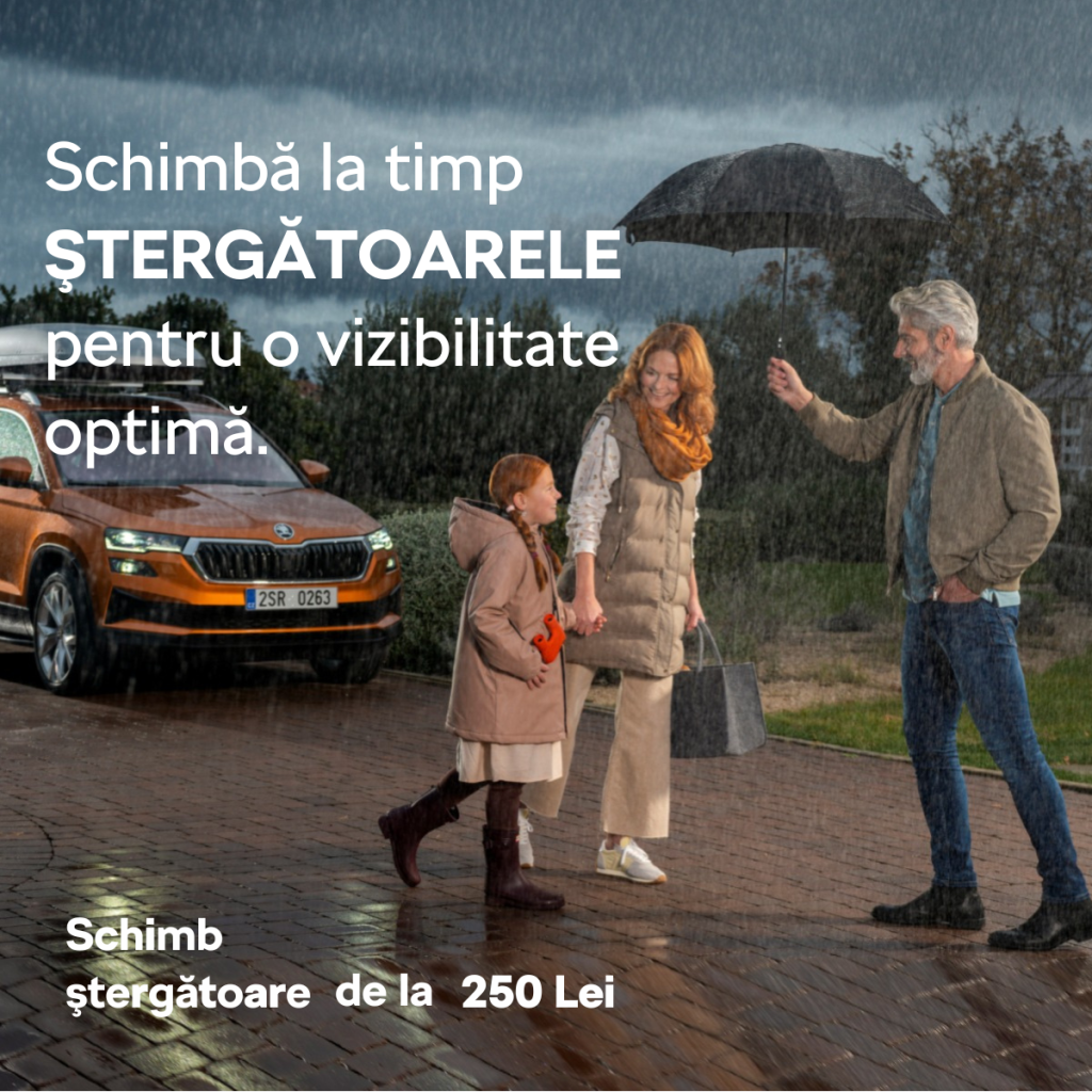 Stergatoarea Skoda