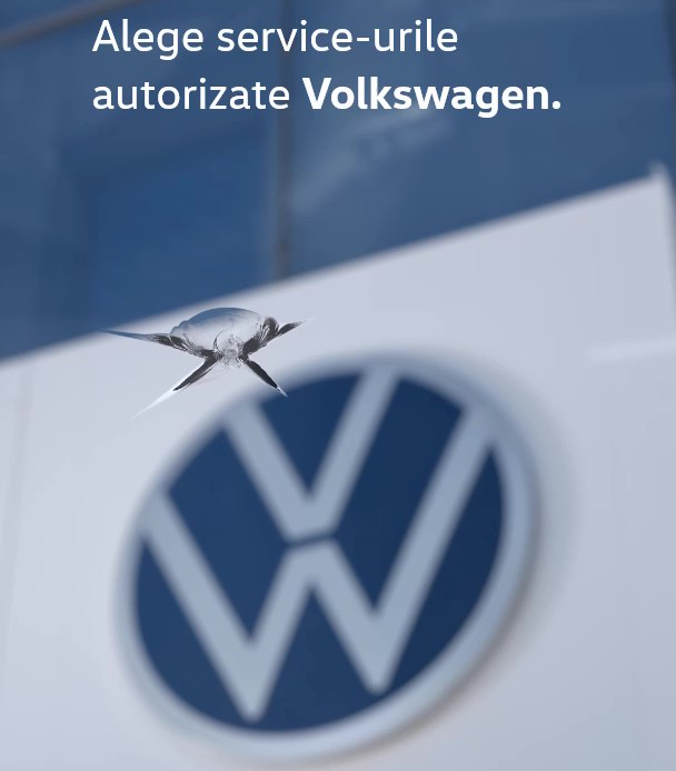 Service VW