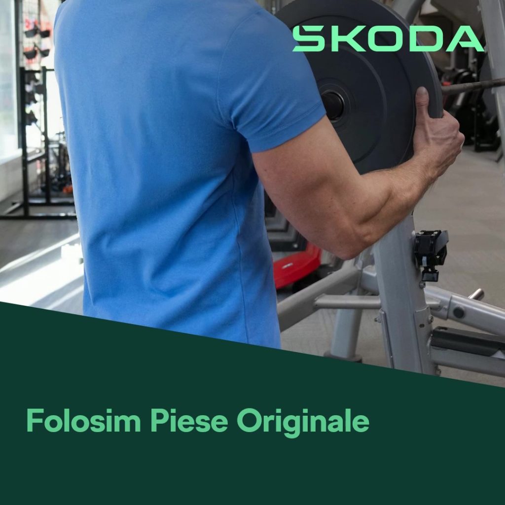 Service Skoda - piese originale